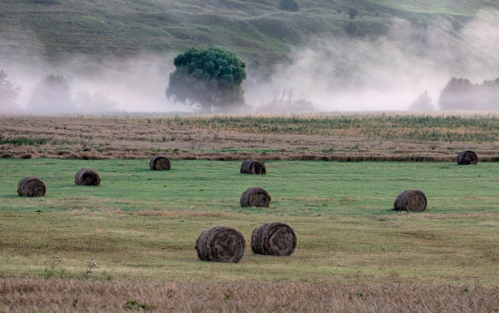 Утренний туман