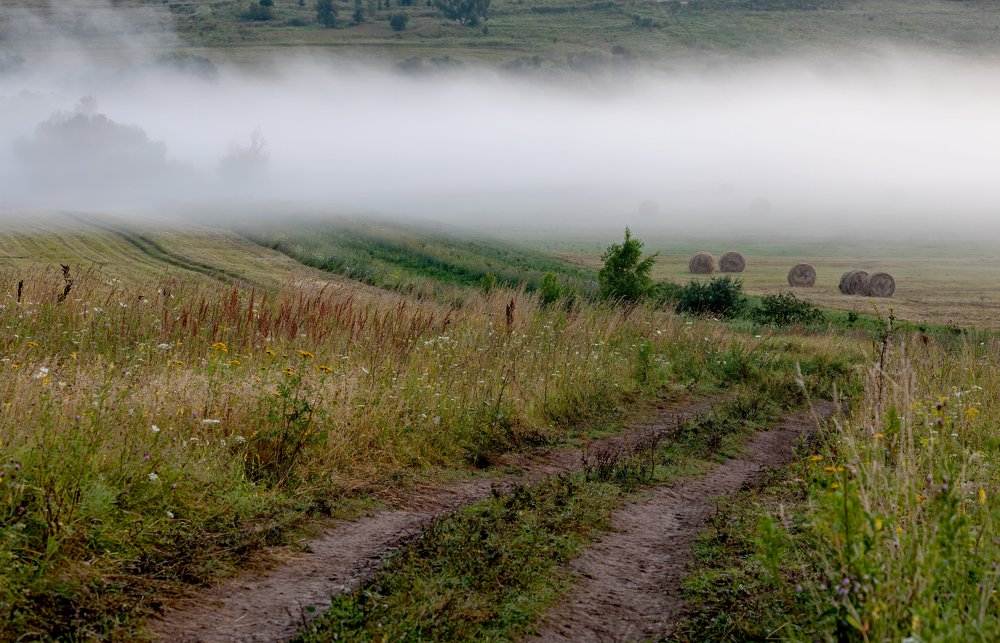 Дорога уходящая в утренний туман