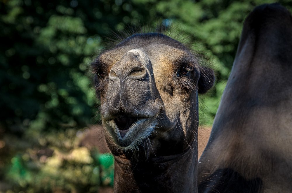 Фотография автора Владимир Брызгунов