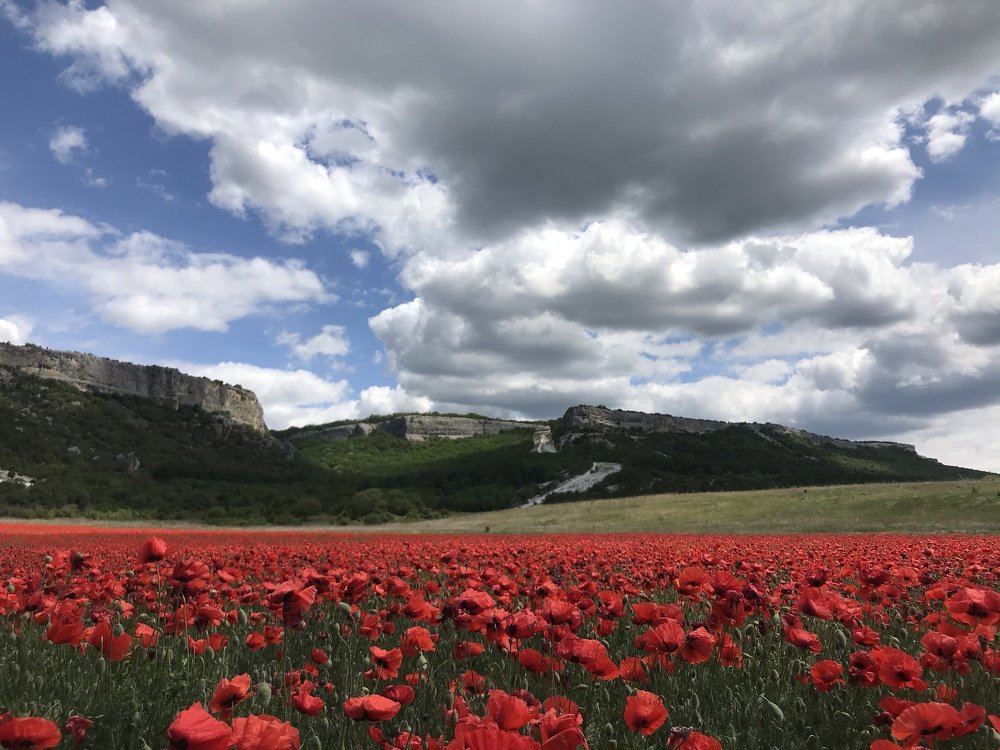 Photograph by Катерина Кулемина