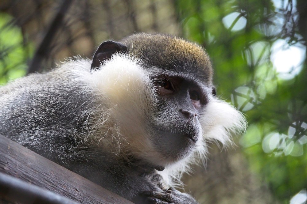 Photograph by Yana Marinova