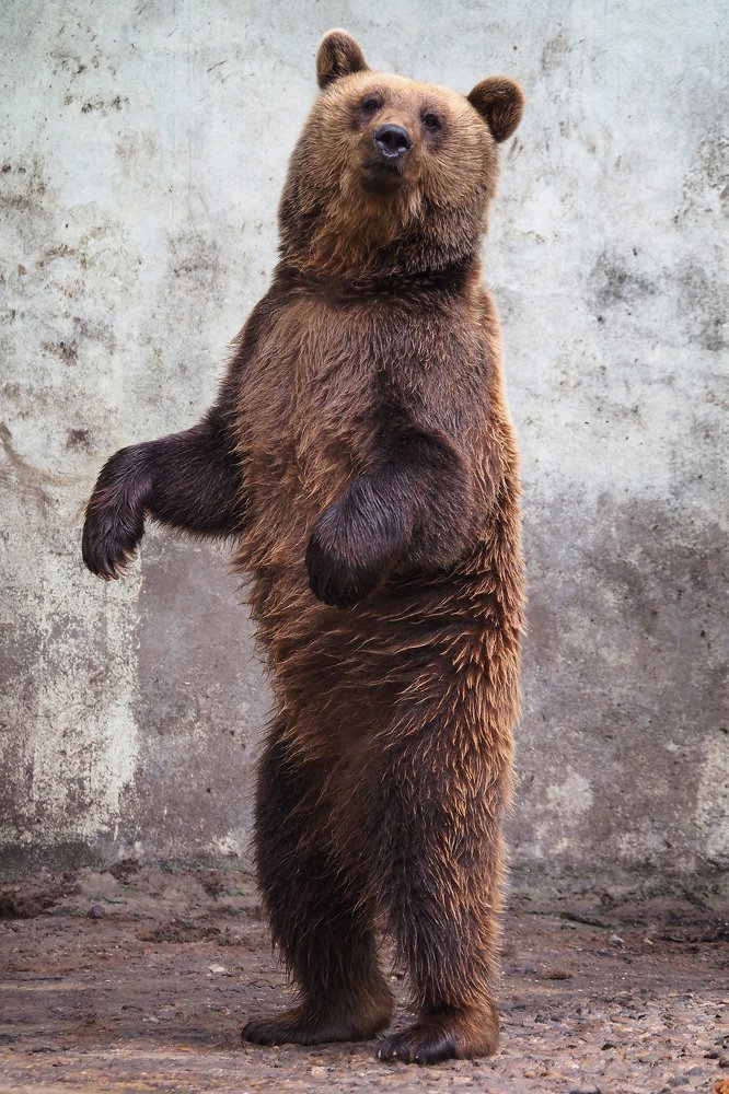 Photograph by Yana Marinova