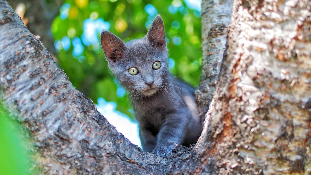 Photograph by Yana Marinova