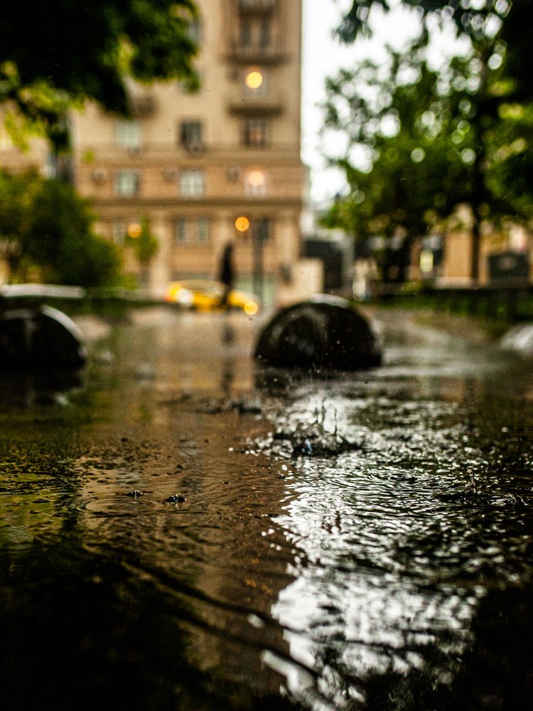 Photograph by Дарья Александрова