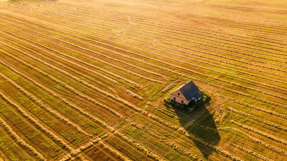 Photograph by Дмитрий Гуринович