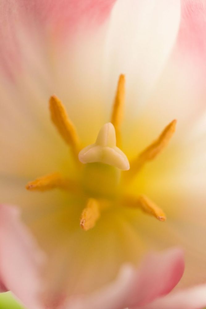 Photograph by jean coakley