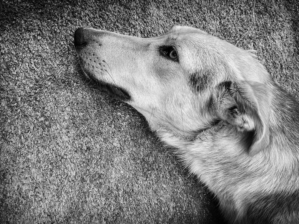 Photograph by Татьяна Чернышова