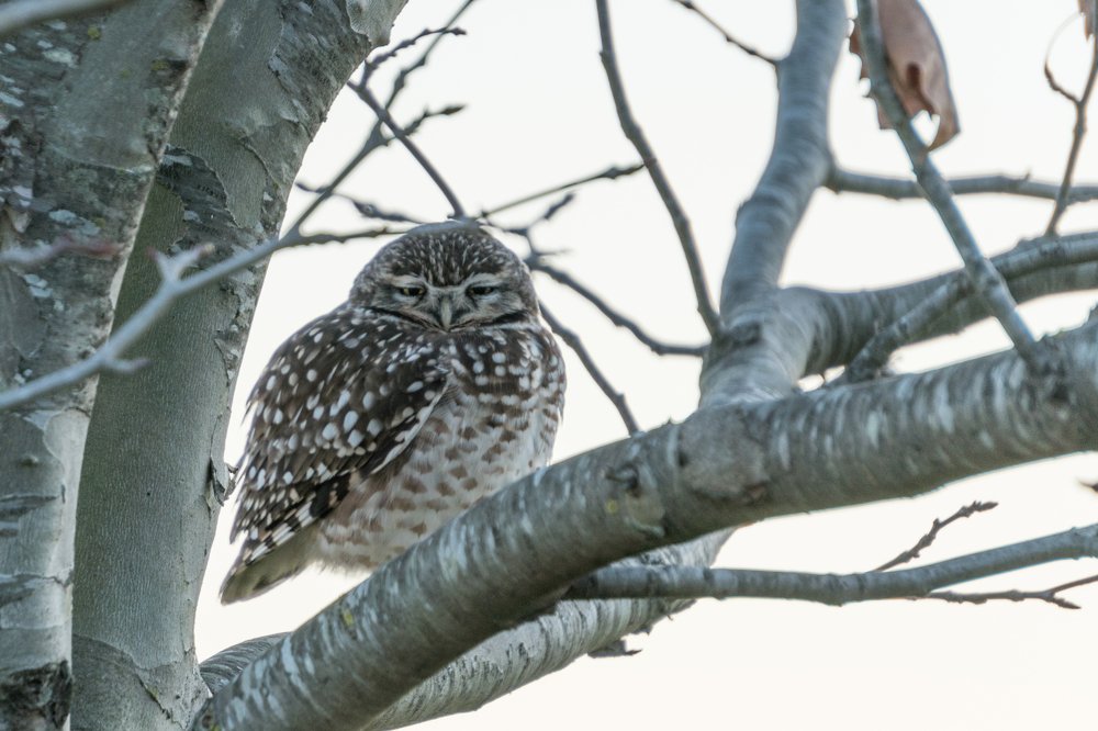 When can I see you again