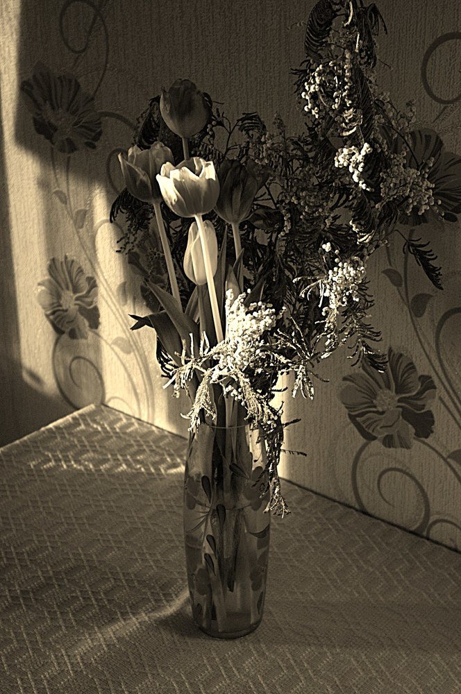 Photograph by Сергей Конищев