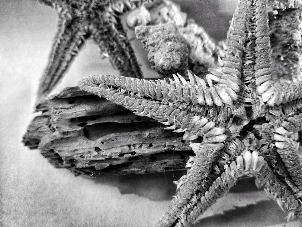 Photograph by Eldeeb Eman