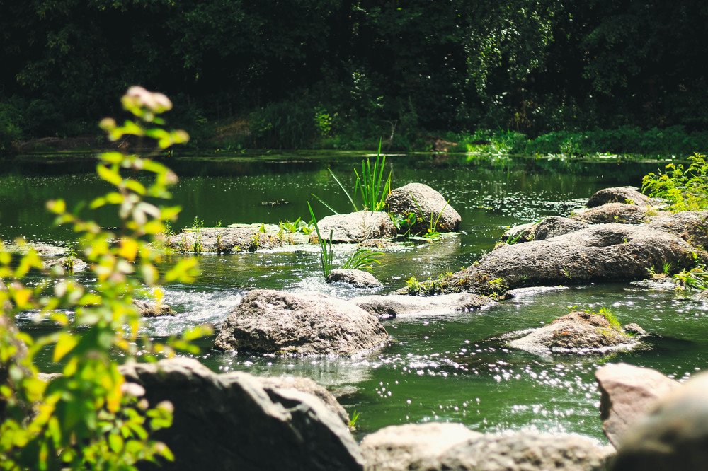 Фотография автора Евгений Король