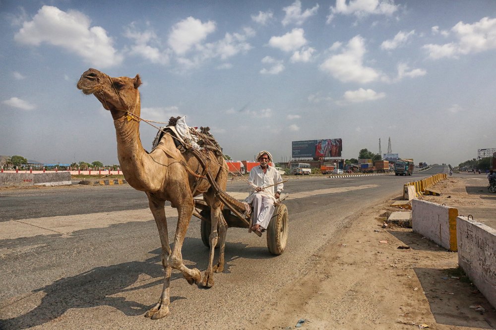 Photograph by Helen McLain