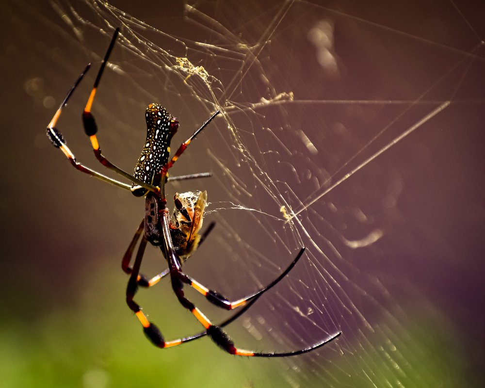 Photograph by Debs Rosales Alberto