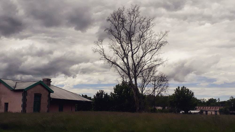 Photograph by Yessenia Arroyo