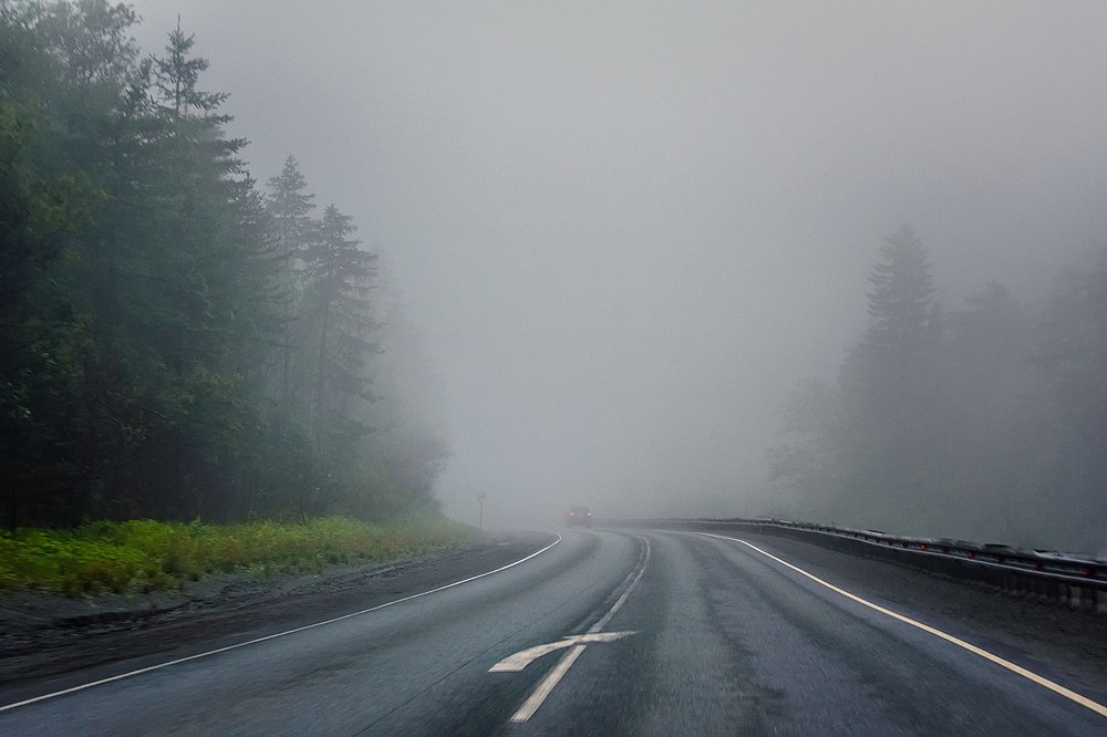 Photograph by Сергей Приходько