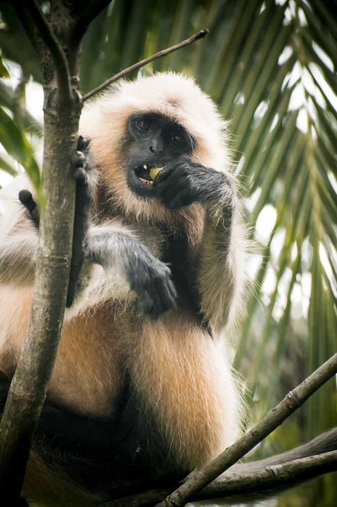 Photograph by Yukti Adhikary