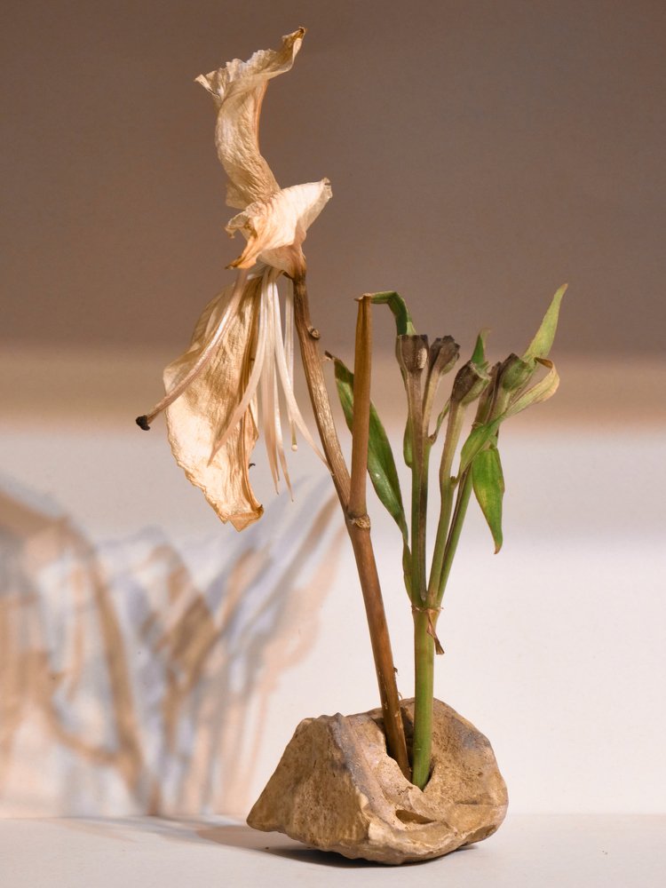 Photograph by Анна Дубровина