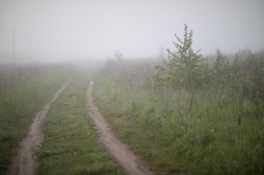 Photograph by Шаталина Оксана