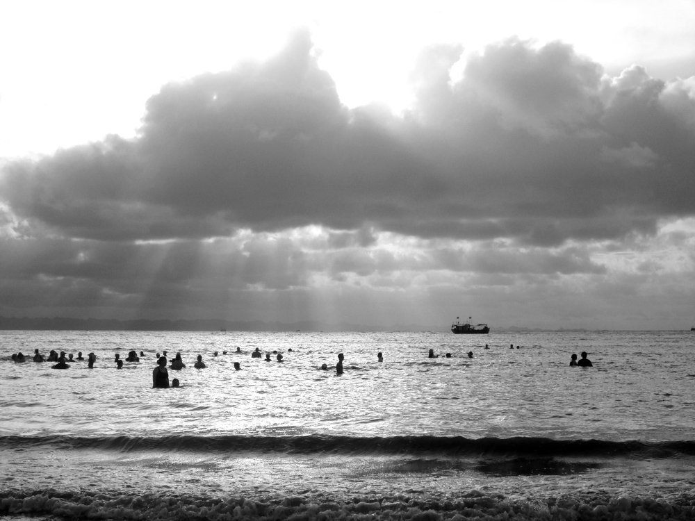 Photo #4824019