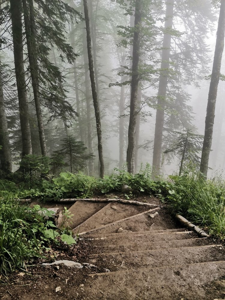 Photograph by Анастасия Воробьева