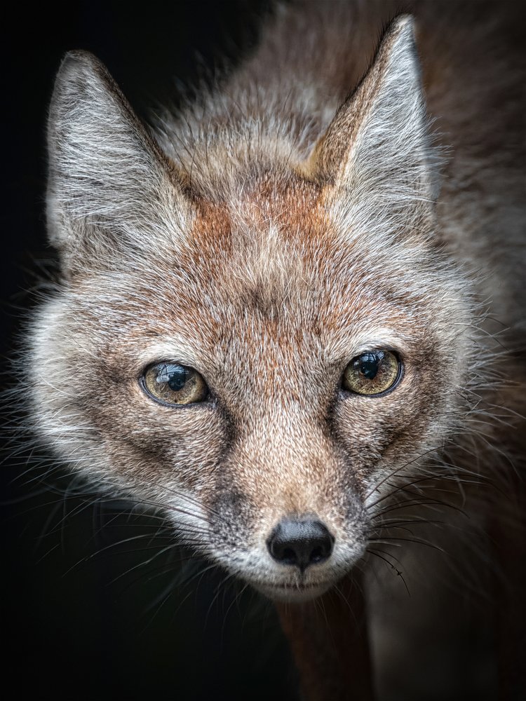 Photograph by Андрей Поляков