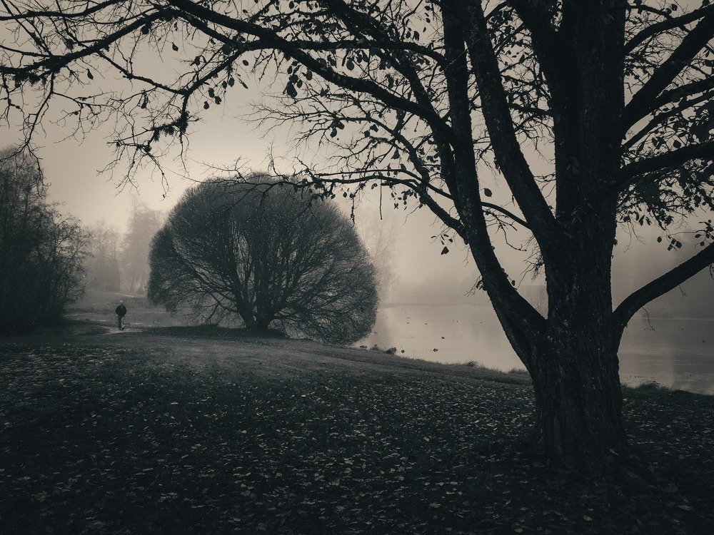 Photograph by Aleksandr Barsukov