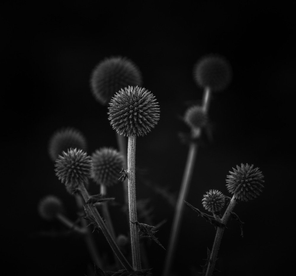 Photograph by Михаил