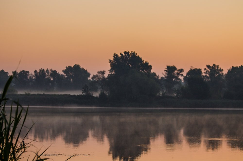 Photograph by Vira Falkina