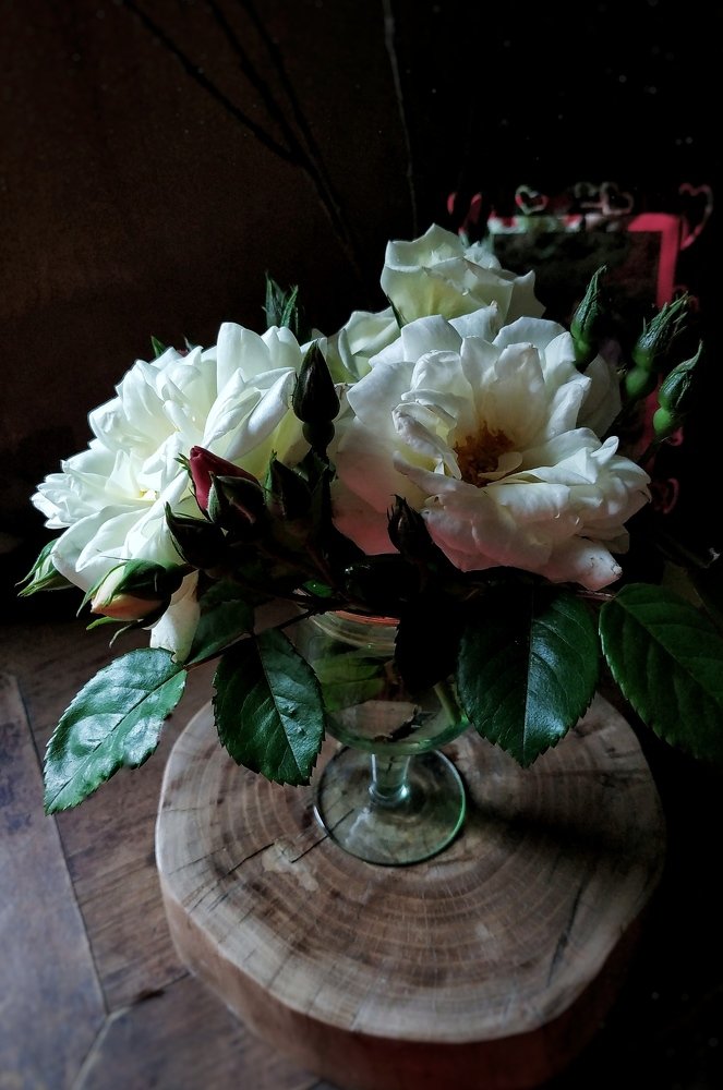 Photograph by Vira Falkina