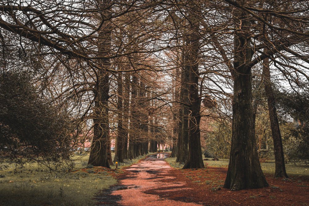 A walk to tranquility
