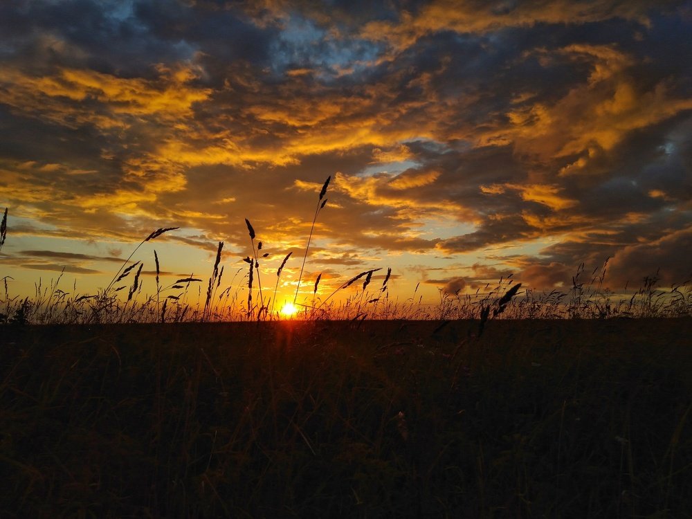 Фотография автора Виктор Конев
