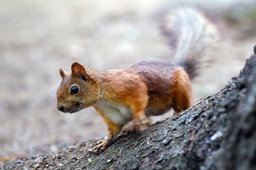 Photograph by Андрей