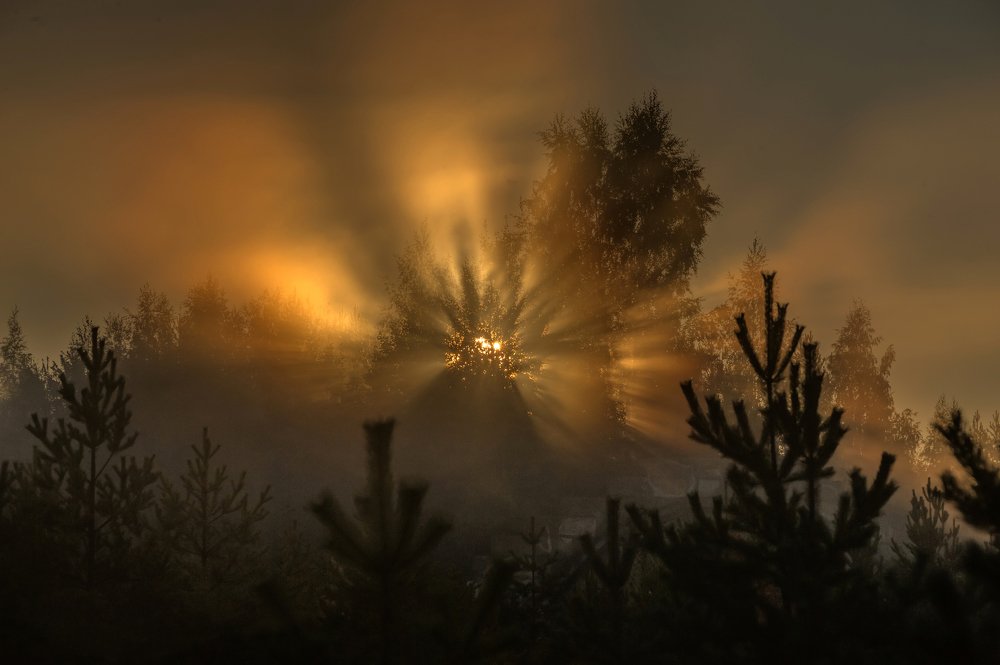 Photograph by 