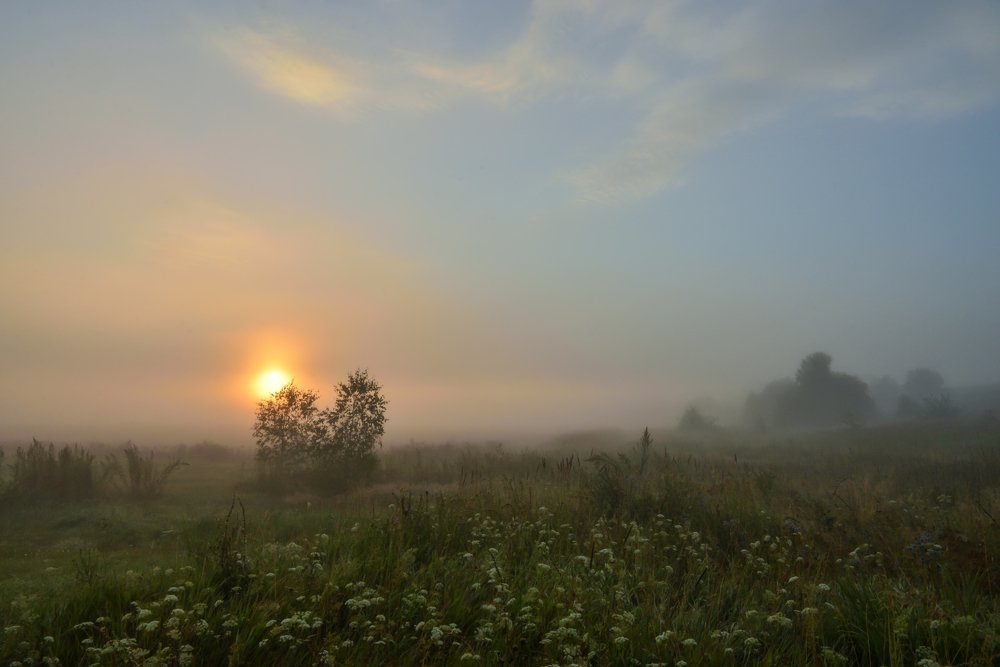 Утренний туман