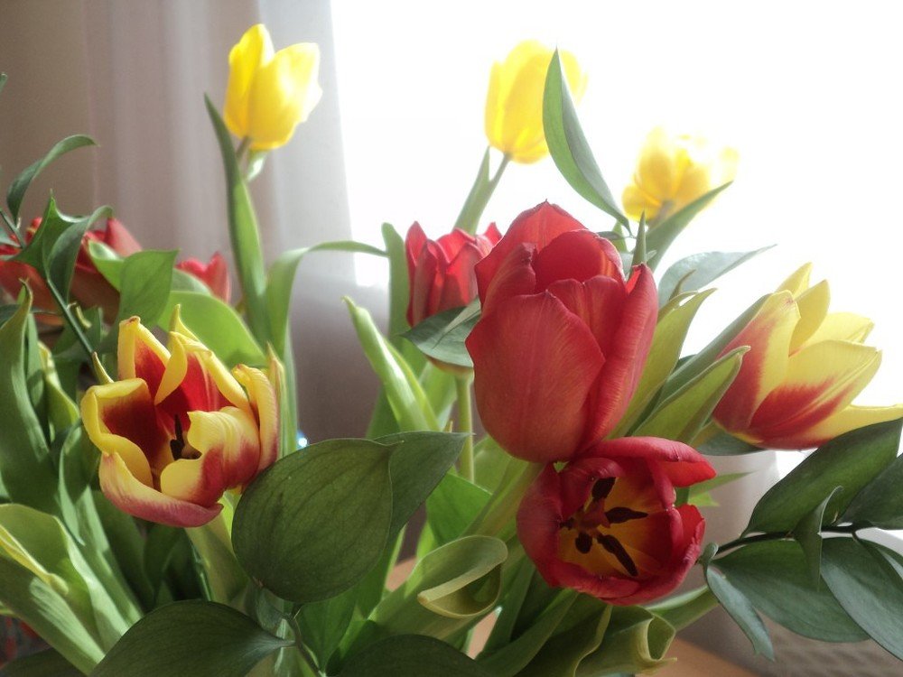 Photograph by  Людмила