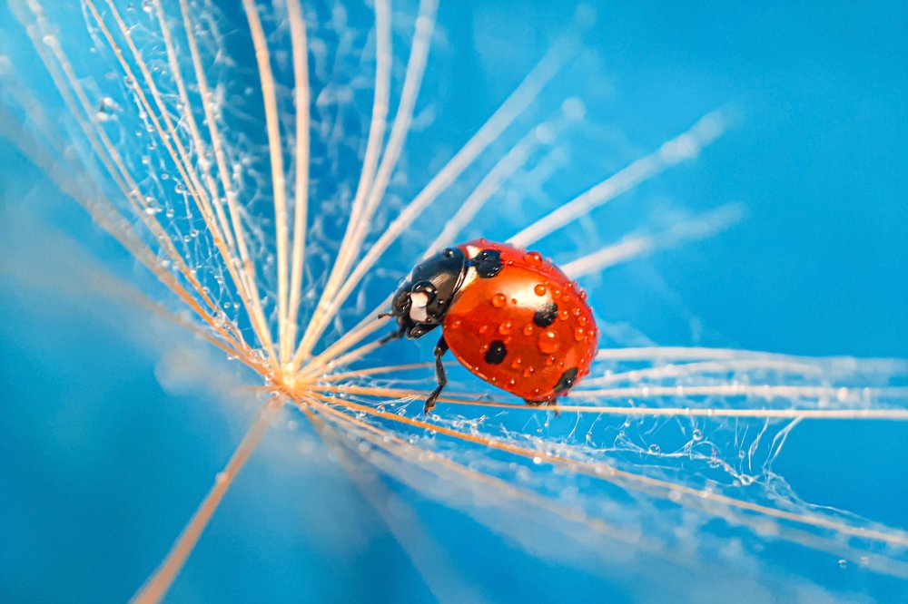 Photograph by Екатерина Просвирнина