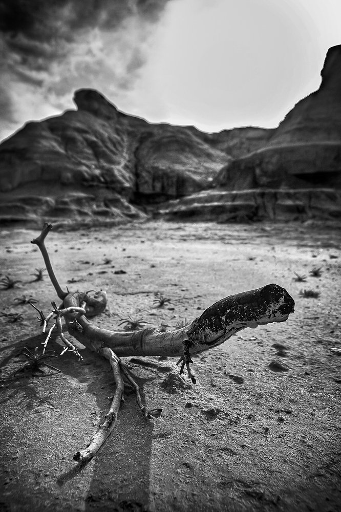 صحراء نينوى