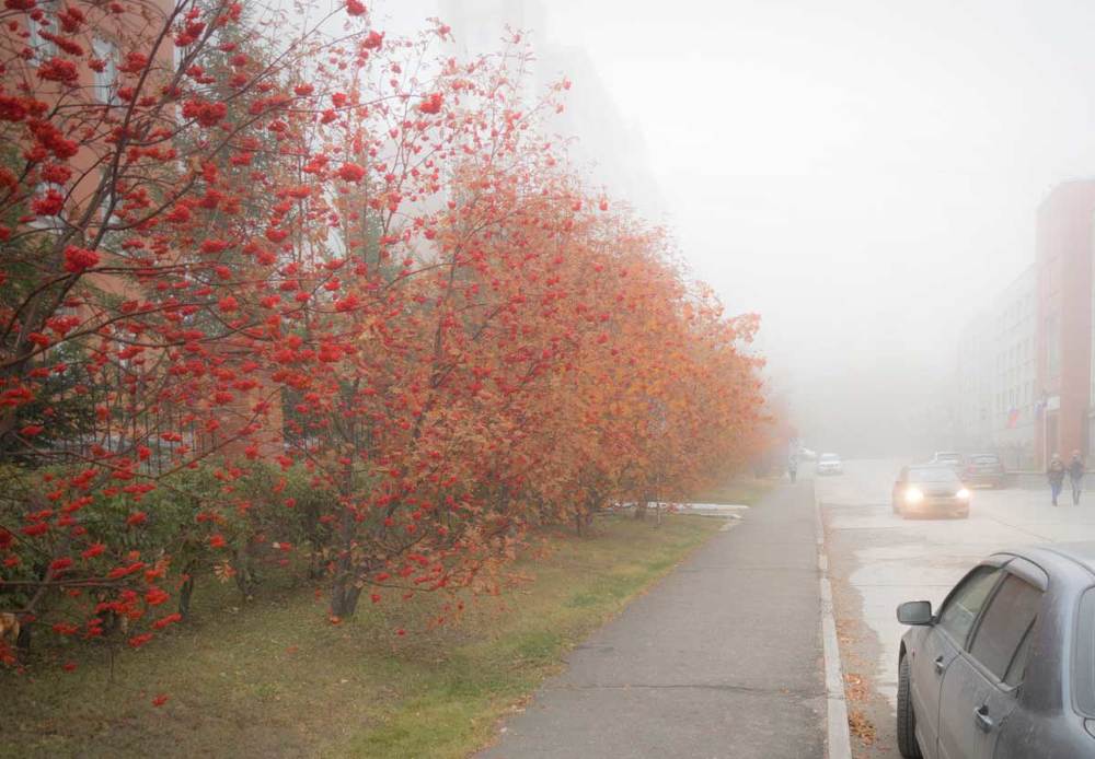 Осеннее утро