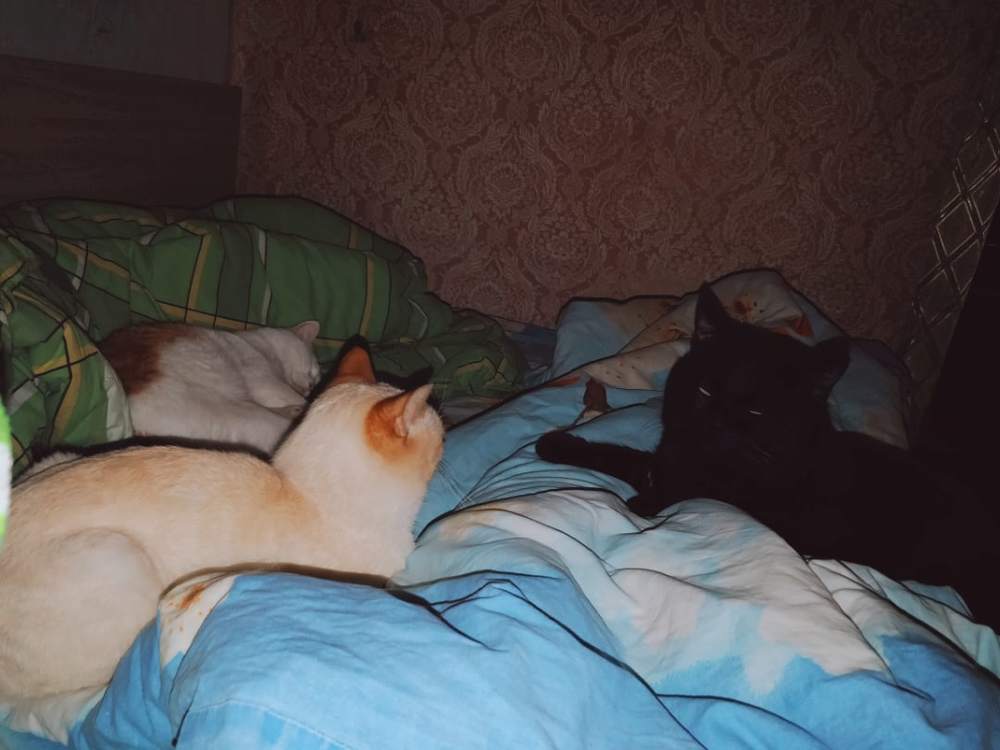 Photograph by генератор случайных писем
