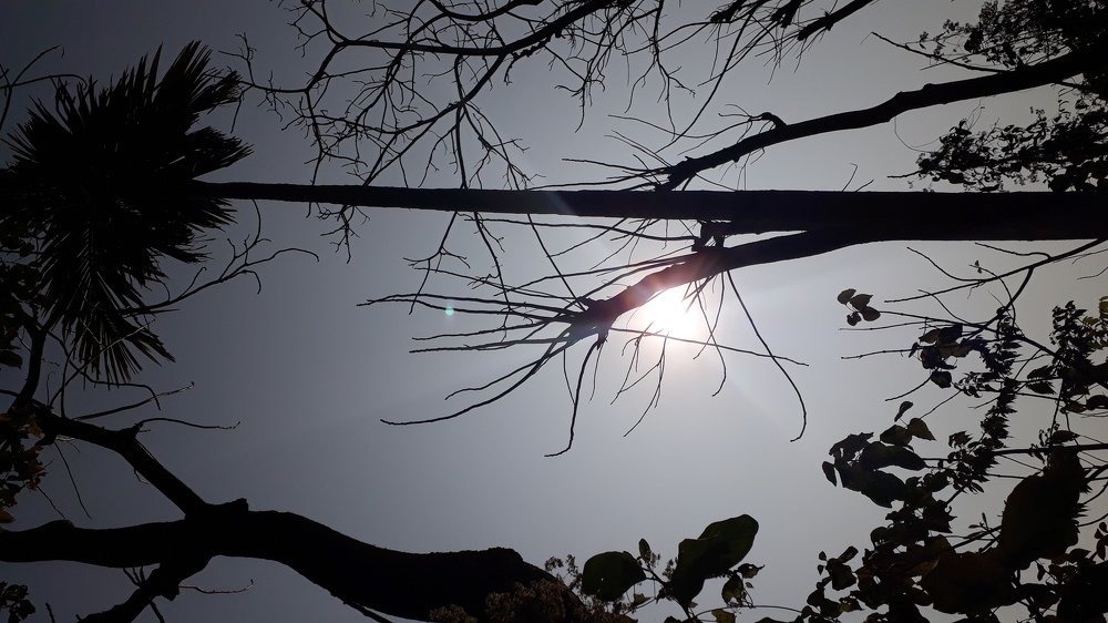 Effect of direct sun light at my camera.