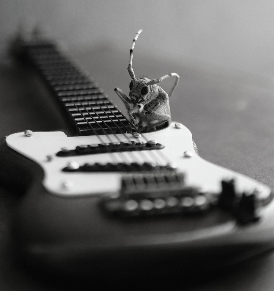 Монстр рока.