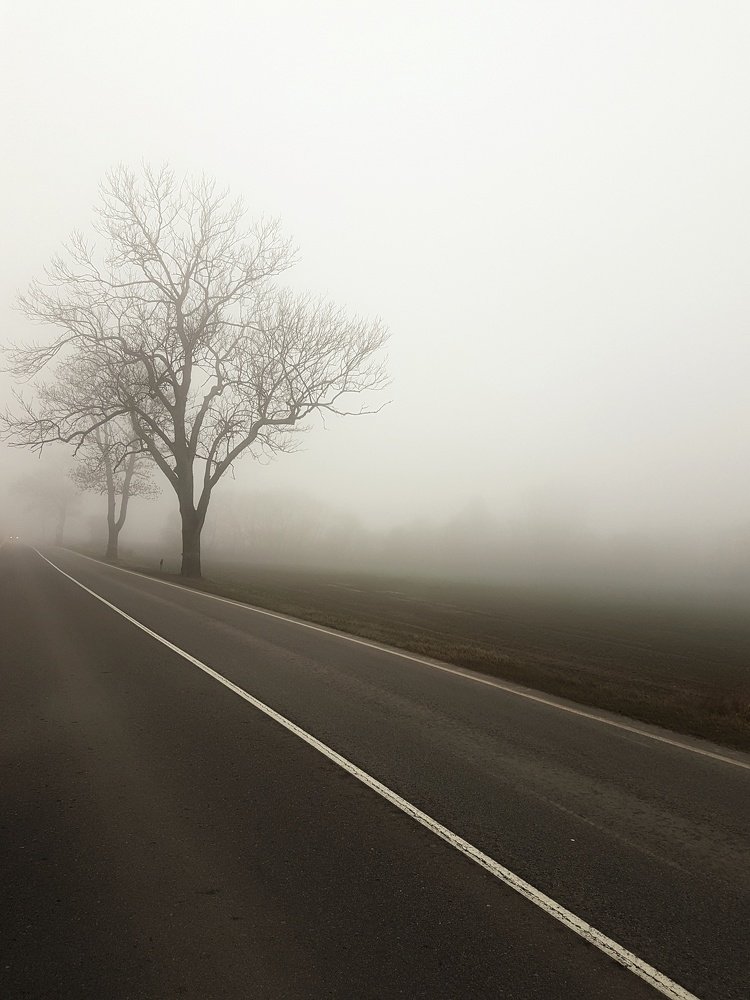 Photo #4824683