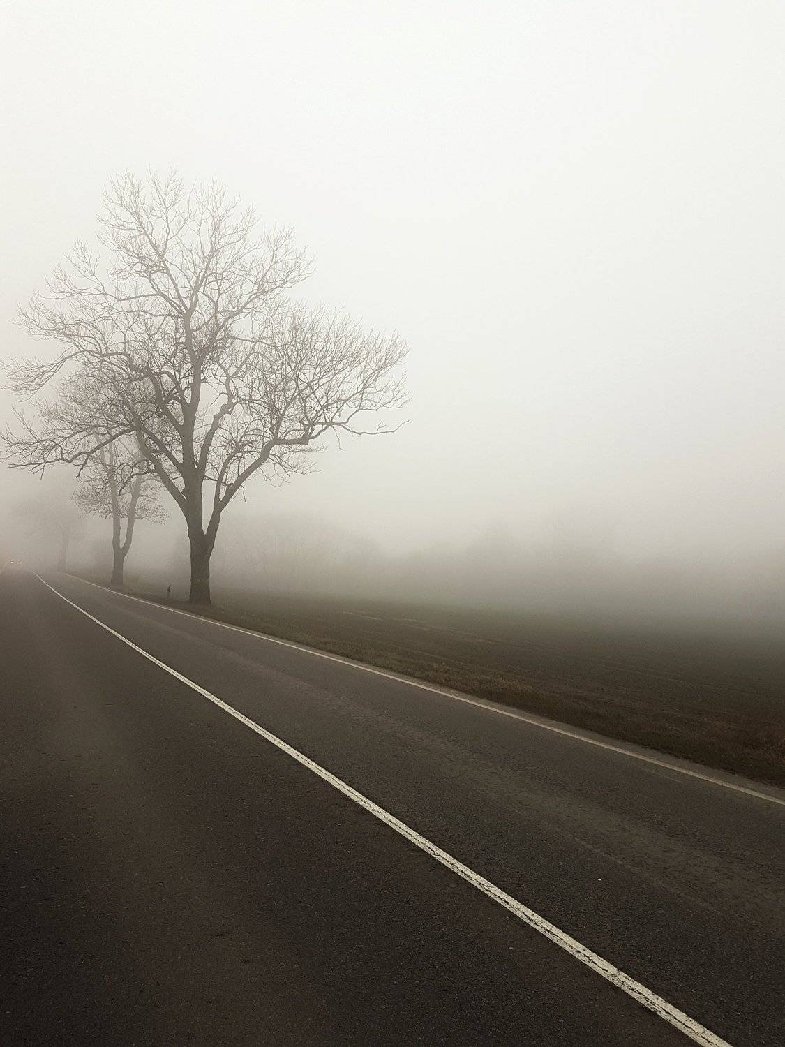 Photo #4824683