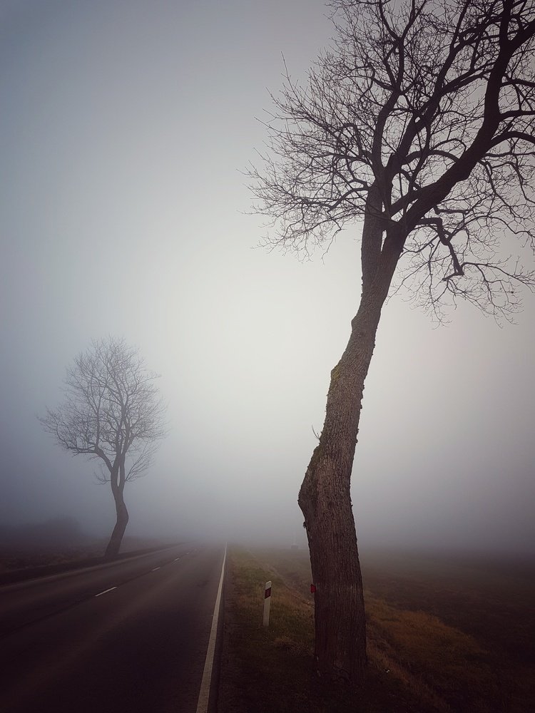 Photo #4824684