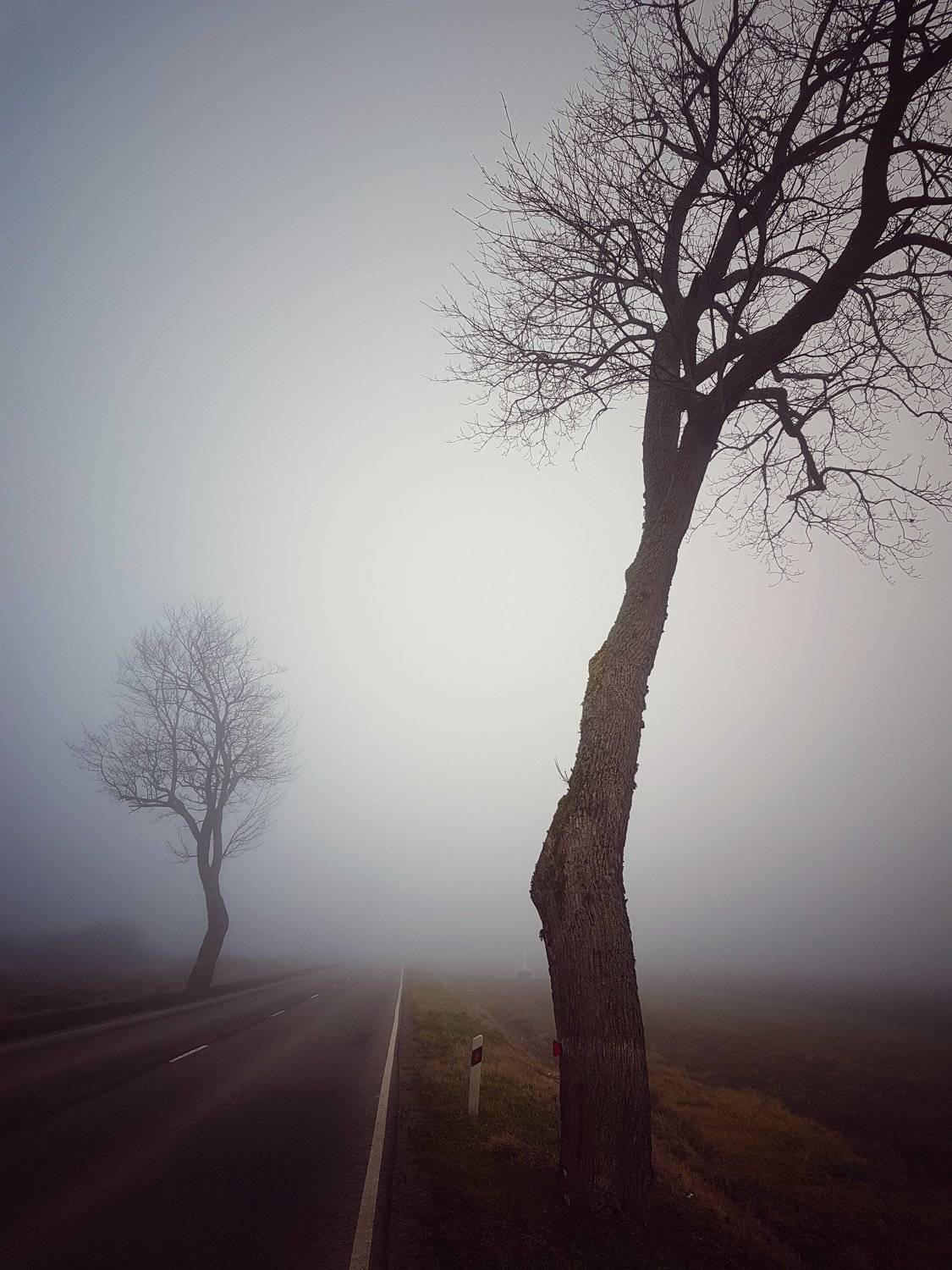 Photo #4824684