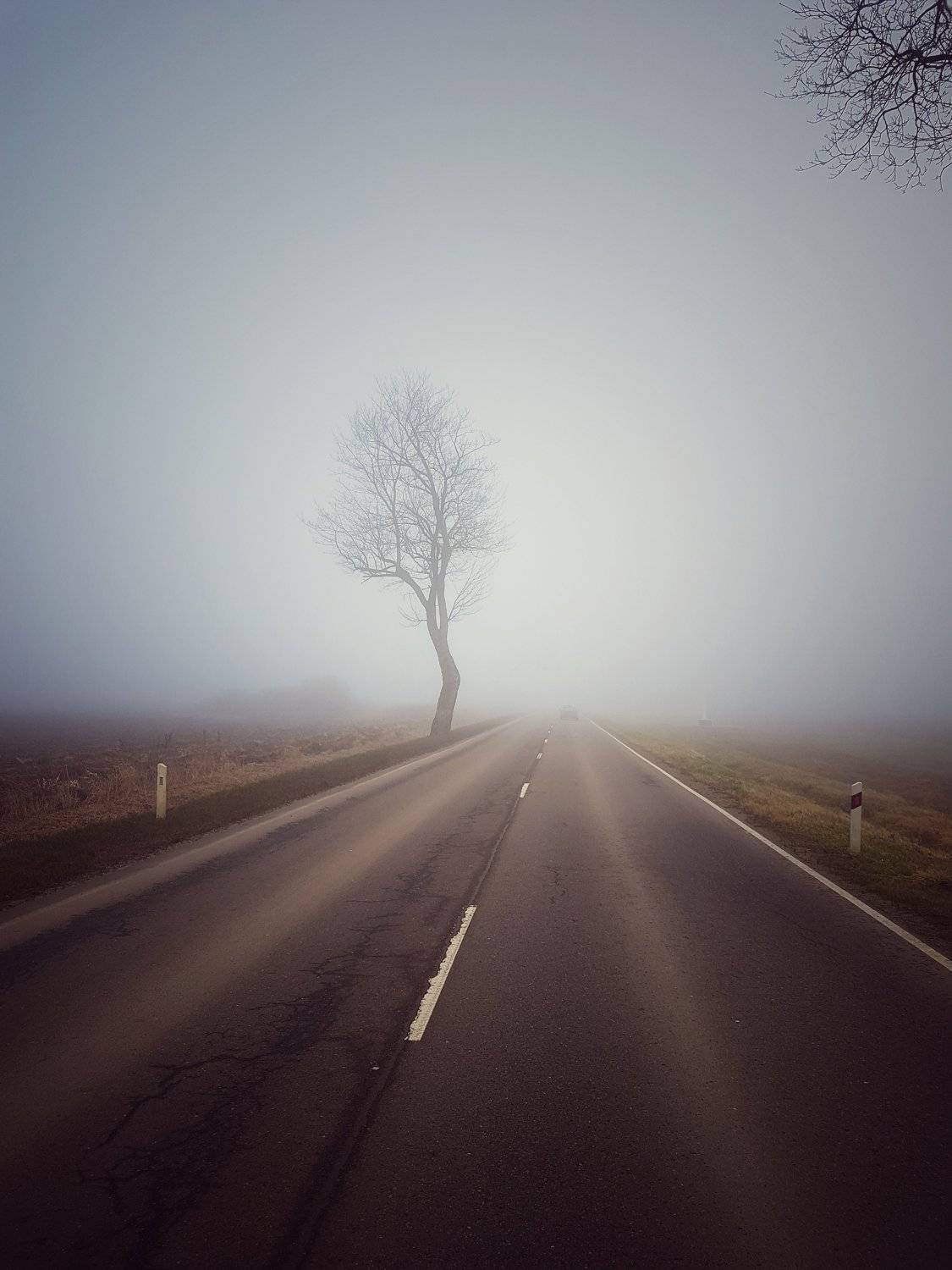 Photo #4824686