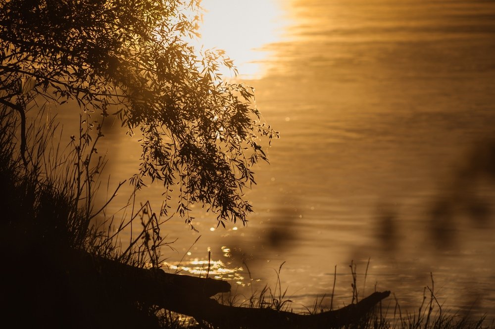 Photograph by Антон Кузнецов