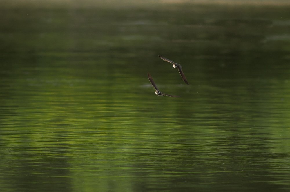 Photograph by Антон Кузнецов