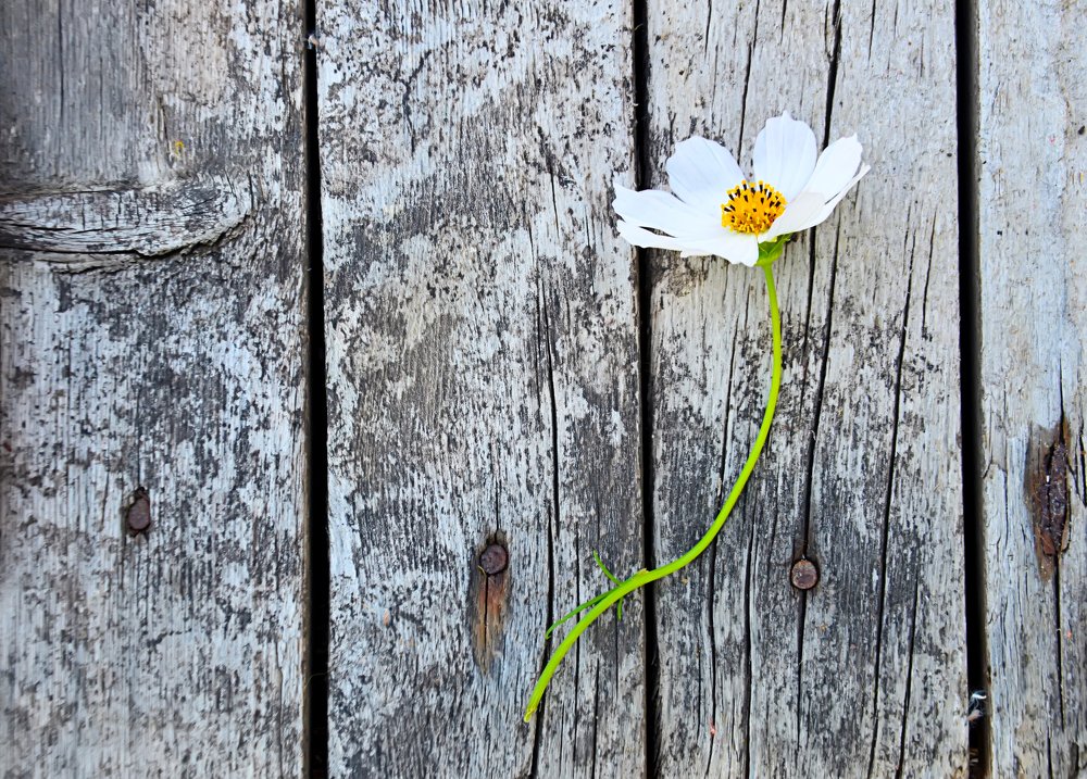 Photograph by Наталия Иванова