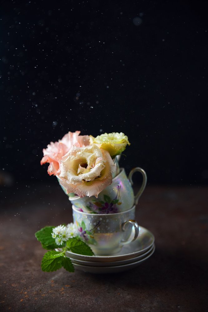 Photograph by Юлия Семенюк